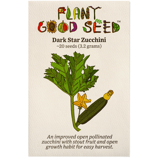 Dark Star Zucchini The Plant Good Seed Company