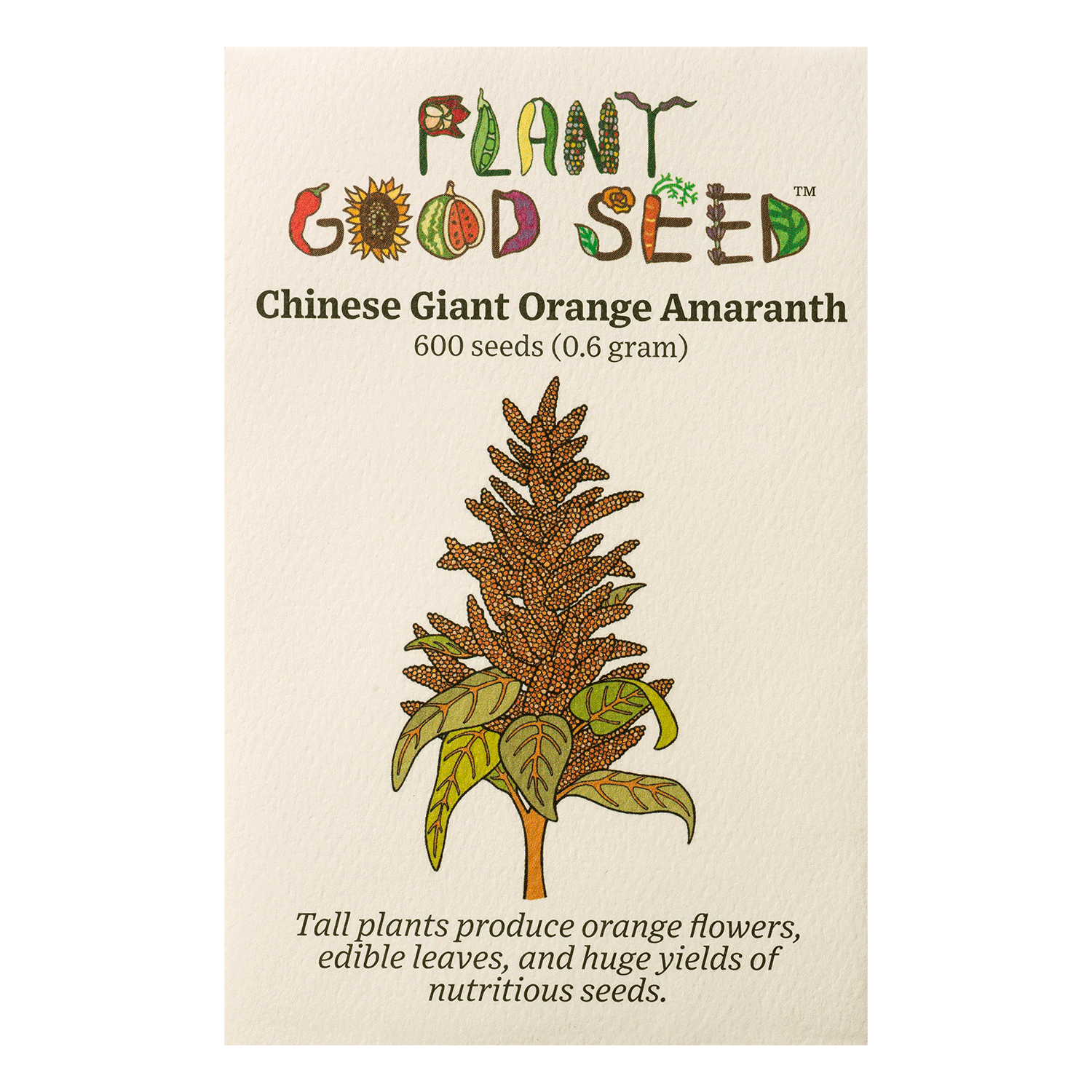 large plant seeds Chinese Giant Orange Amaranth Seeds BULK: 28,000 Seeds (1 ounce), OG