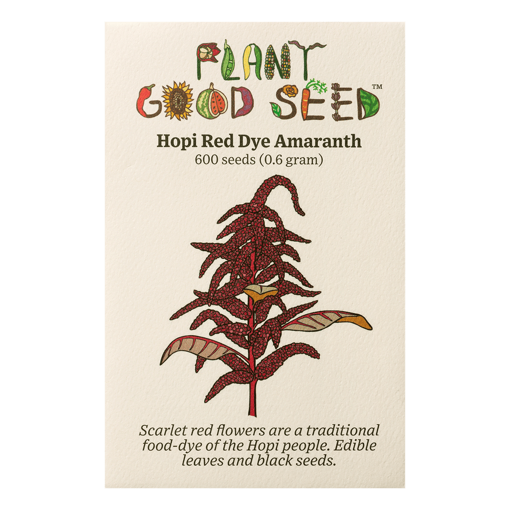 red prayer plant seeds Hopi Red Dye Amaranth Seeds