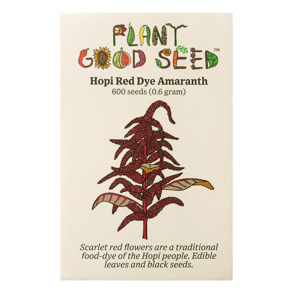 Hopi Red Dye Amaranth Seeds The Plant Good Seed Company