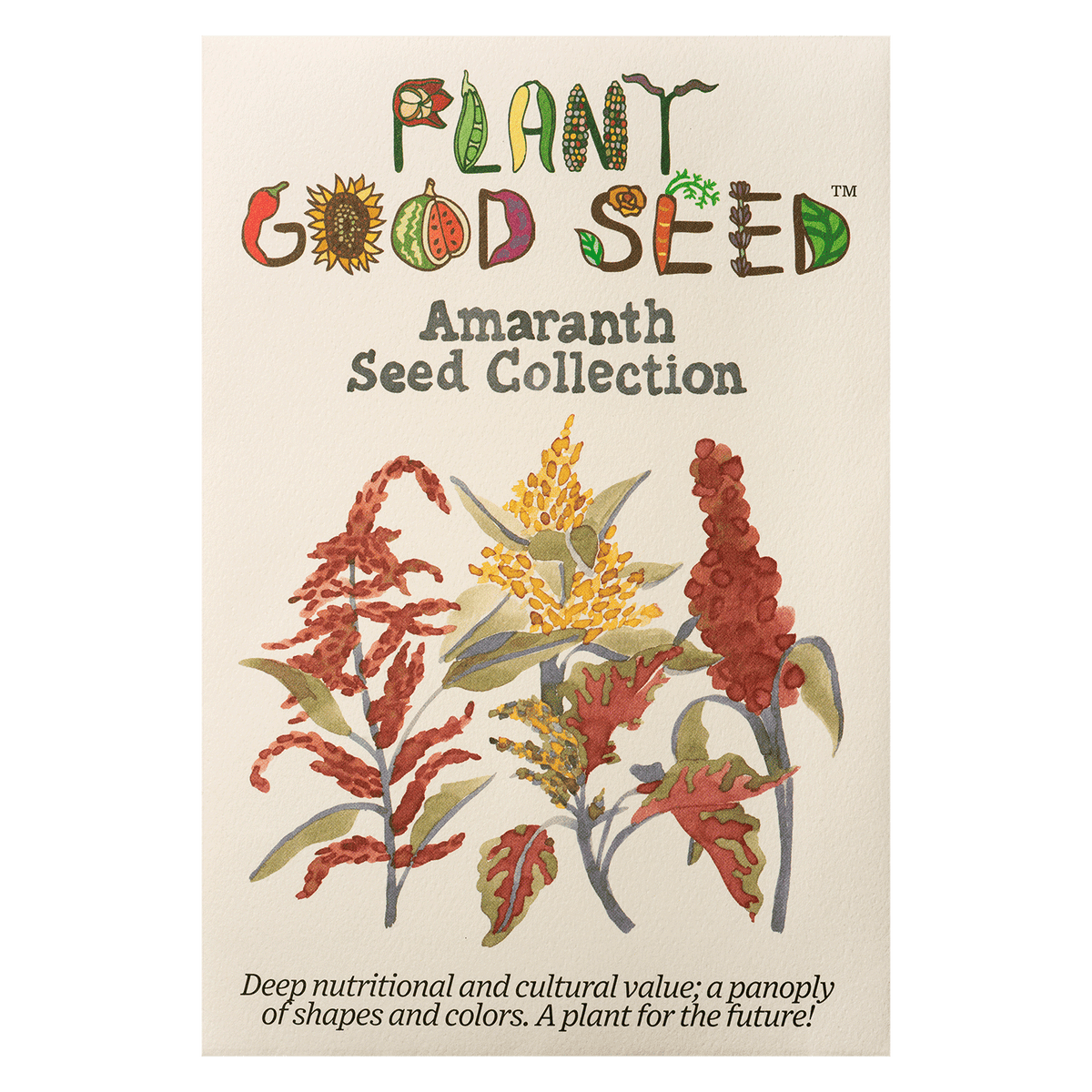 Amaranth Seed Collection