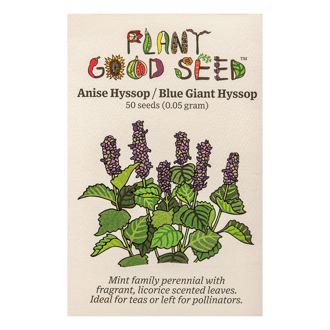 Giant Hyssop Seeds For Planting - MVR1 100 Perennial Agastache Seeds Hyssop Fragrant Delight Flower Seed