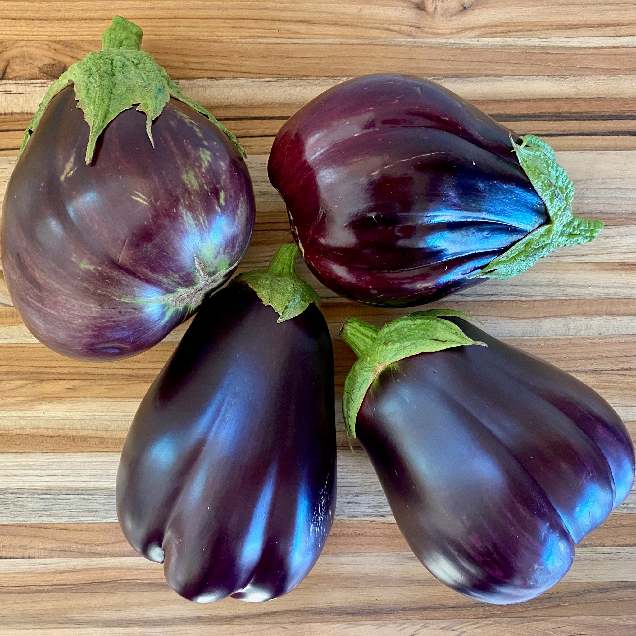 Eggplant, 'Diamond