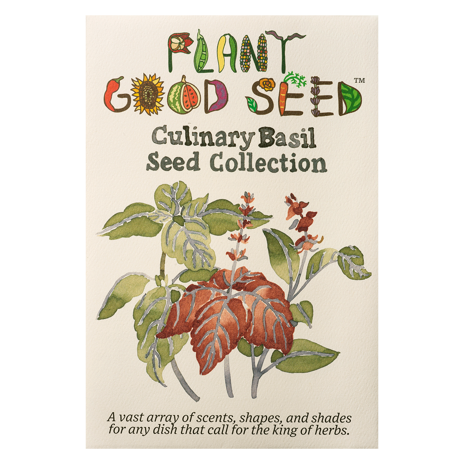 Holy Basil Seeds The Plant Good Seed Company