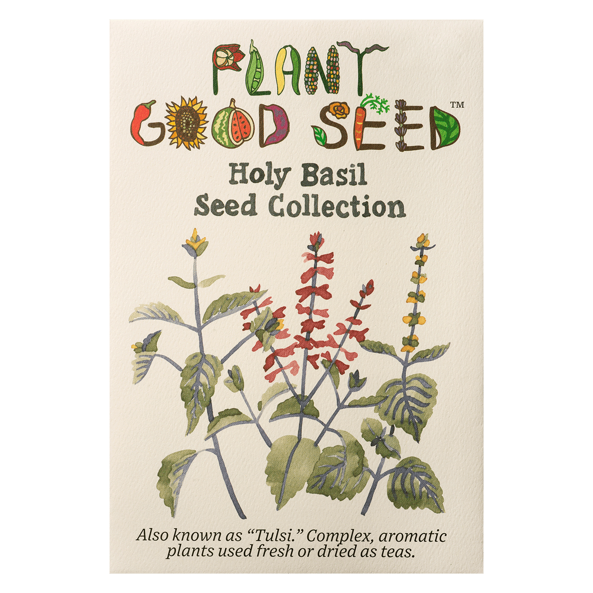 Holy Basil / Tulsi Seed Collection - Three Packets
