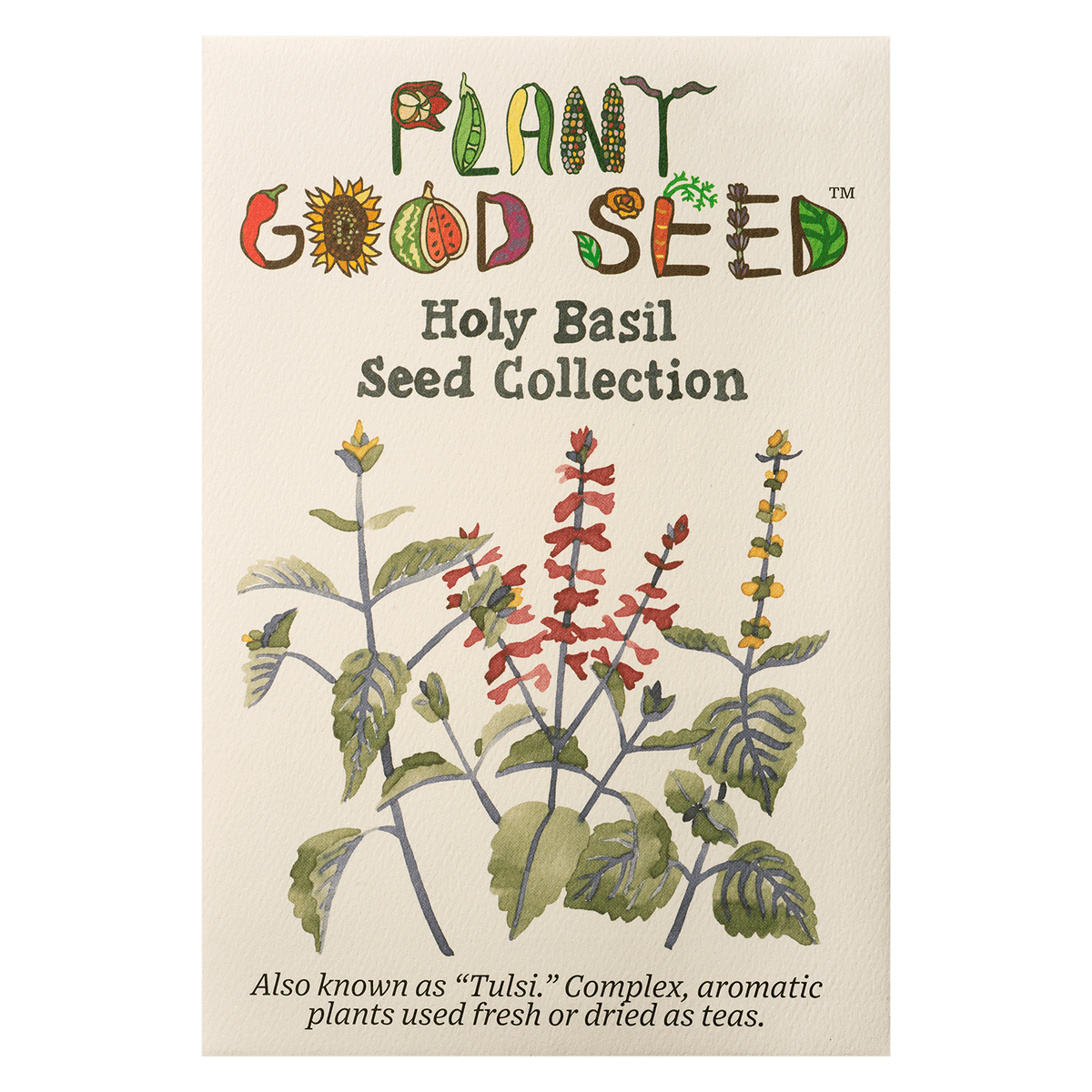 Holy Basil / Tulsi Seed Collection