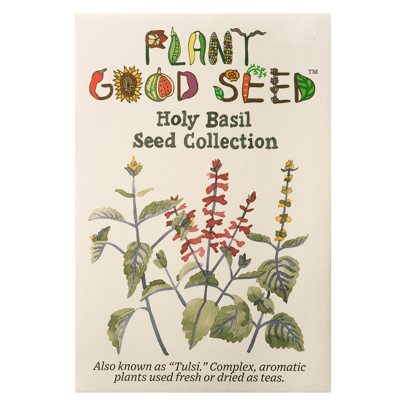 Holy Basil Seeds The Plant Good Seed Company