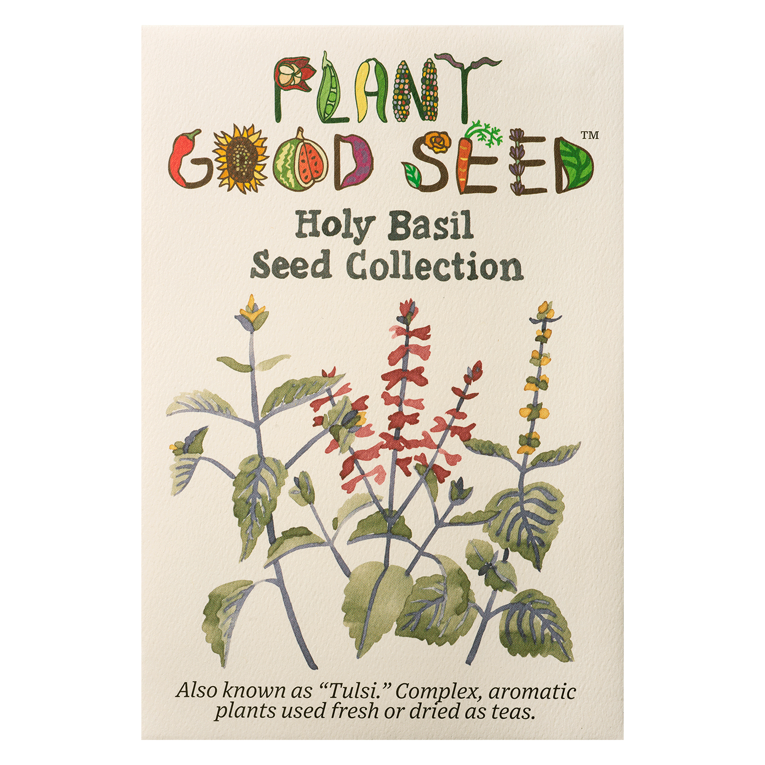 Holy Basil / Tulsi Seed Collection