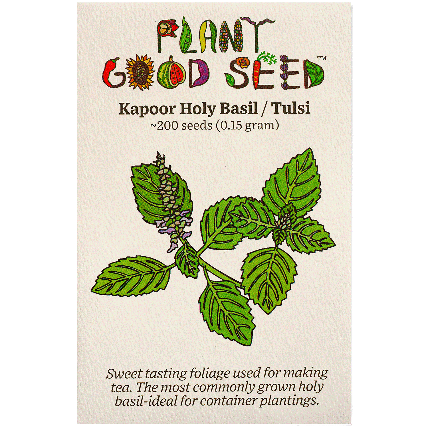 tulsi plant from seeds Kapoor Tulsi / Holy Basil Seeds