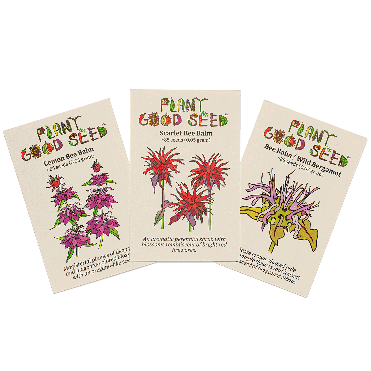 Bee Balm Seed Collection - Three Packets