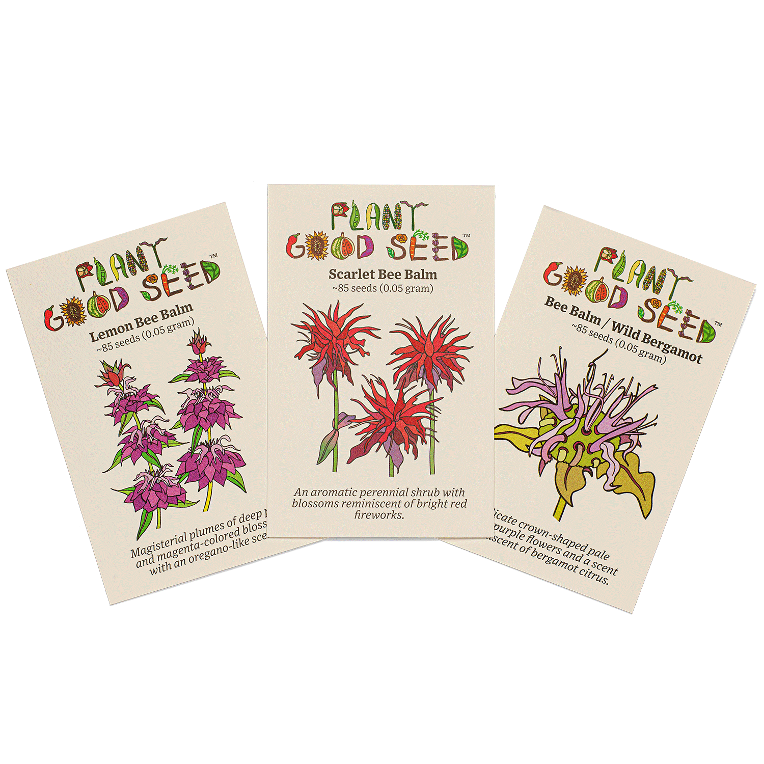 bee balm seeds from flower Bee Balm Seed Collection - Three Packets