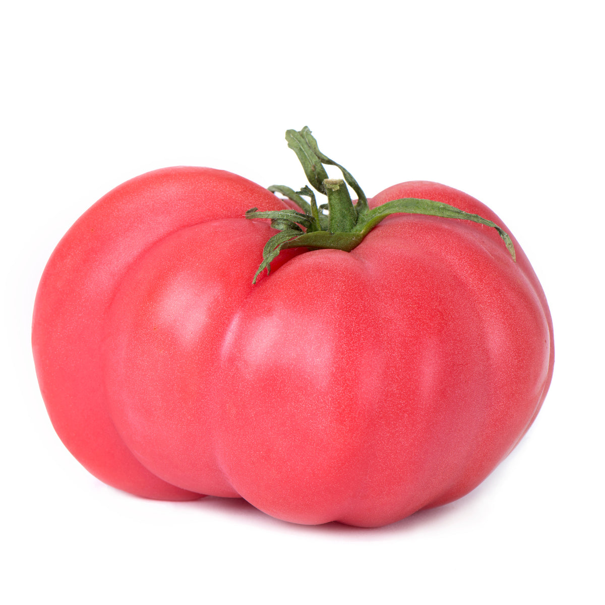 Pink Brandywine Tomato