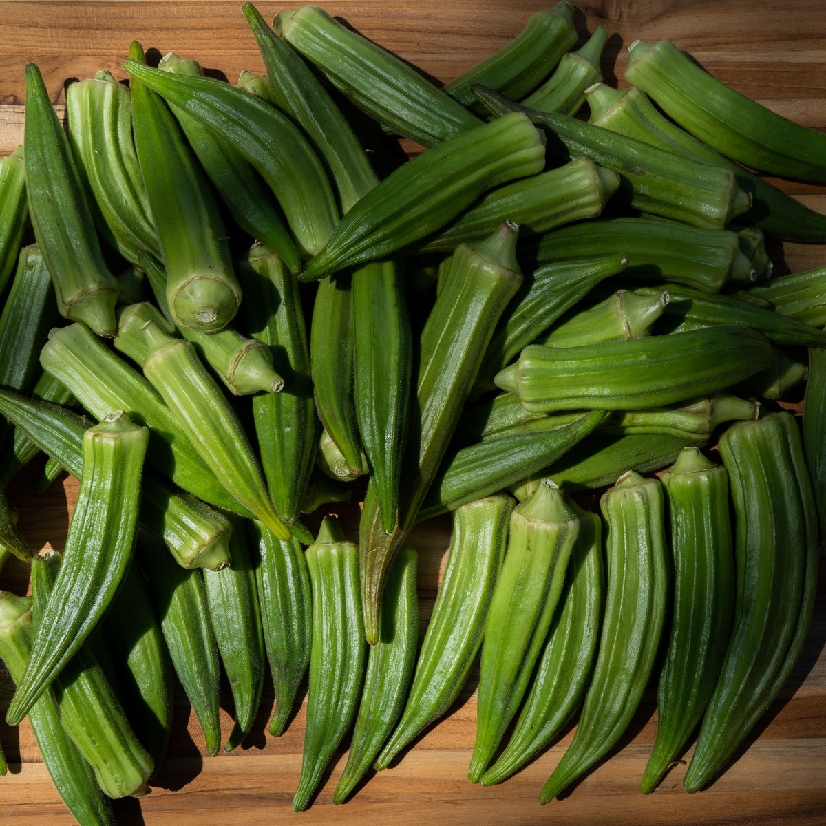 Cajun Jewel Okra