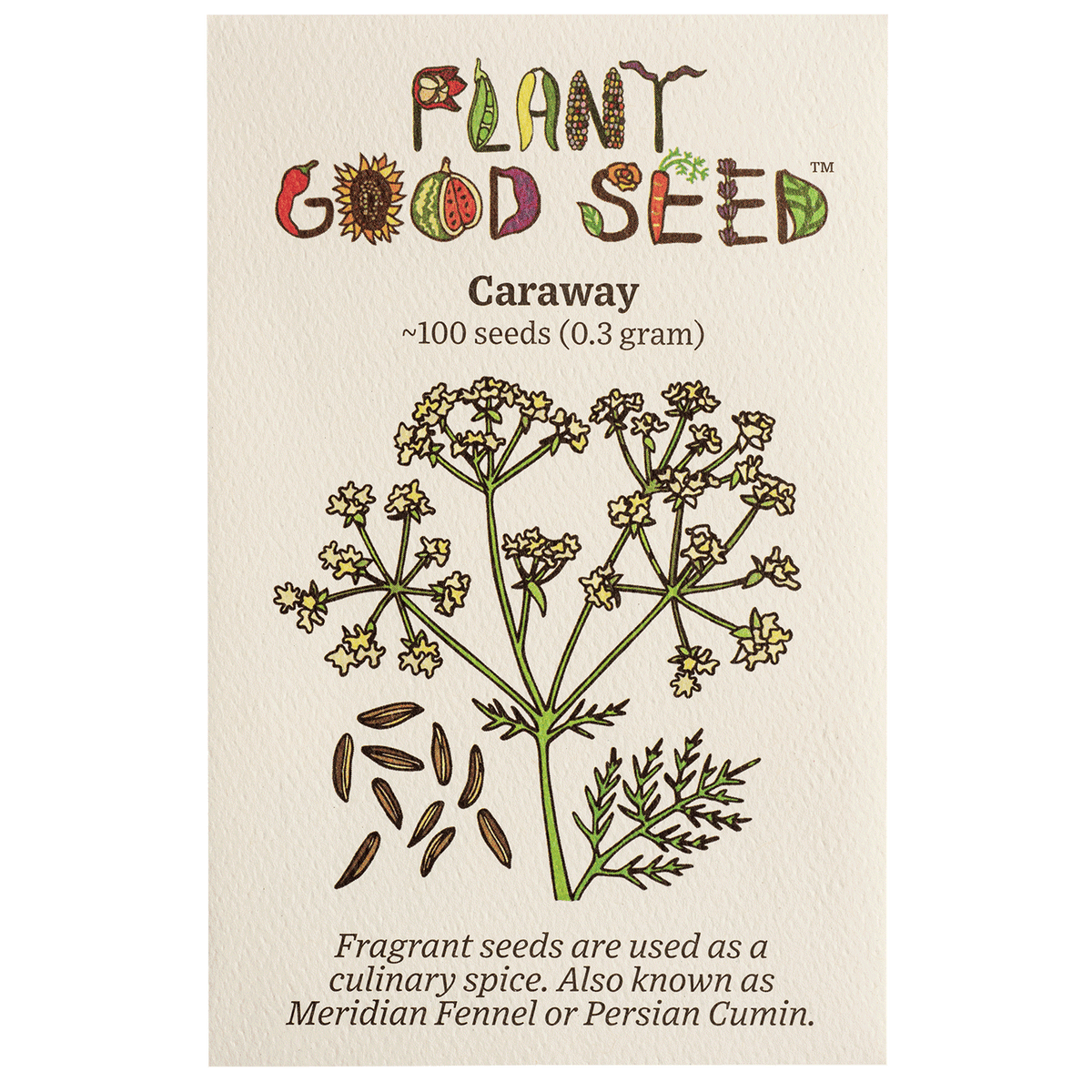 Caraway Seeds - The Plant Good Seed Company