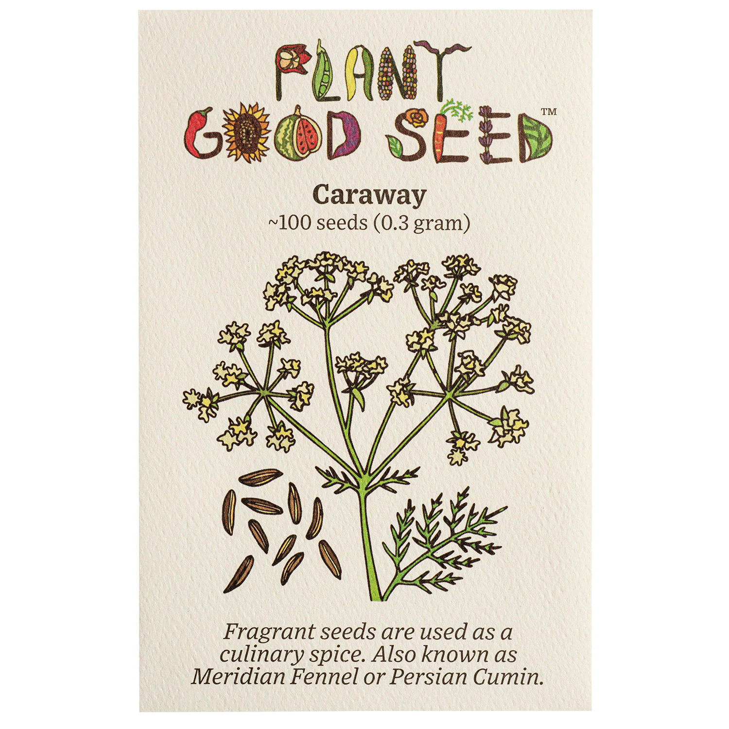 planting caraway seeds Caraway Seeds Packet: 100 Seeds (0.3 gram)