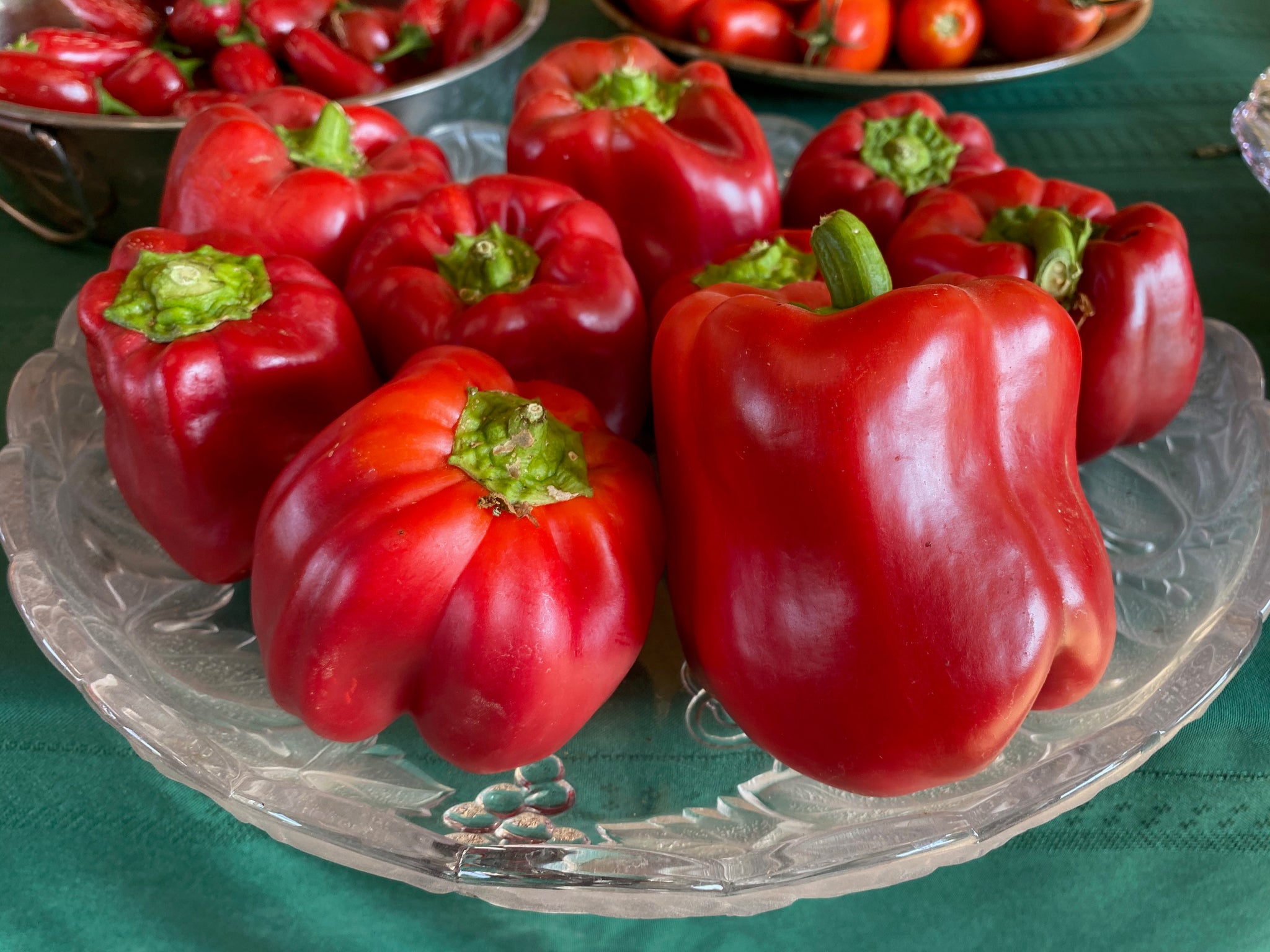 Chinese Giant Red Bell Pepper Seeds - The Plant Good Seed Company