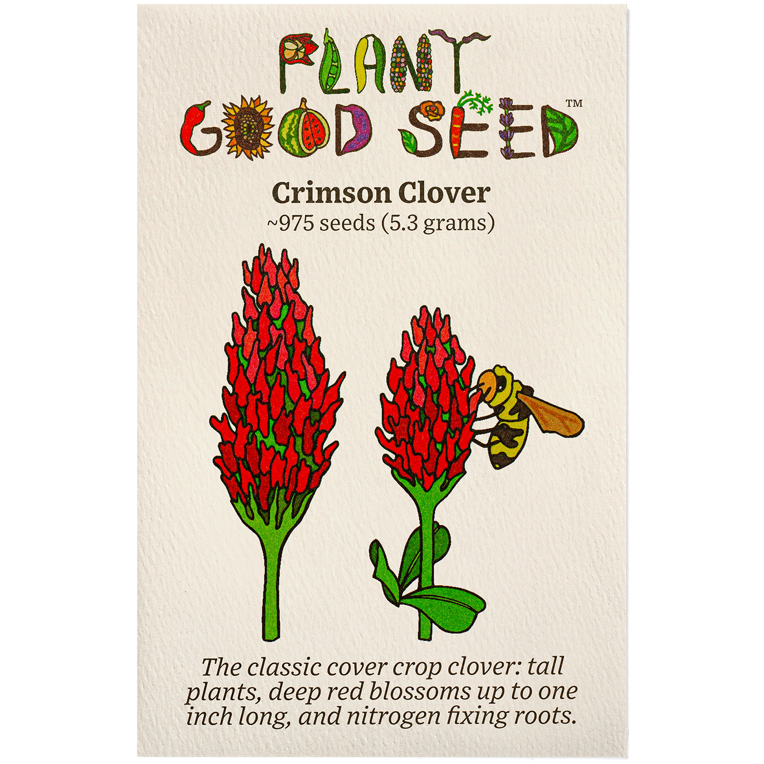 clover plant seeds Crimson Clover Seeds BULK: 75,000 Seeds (0.5 pound), OG