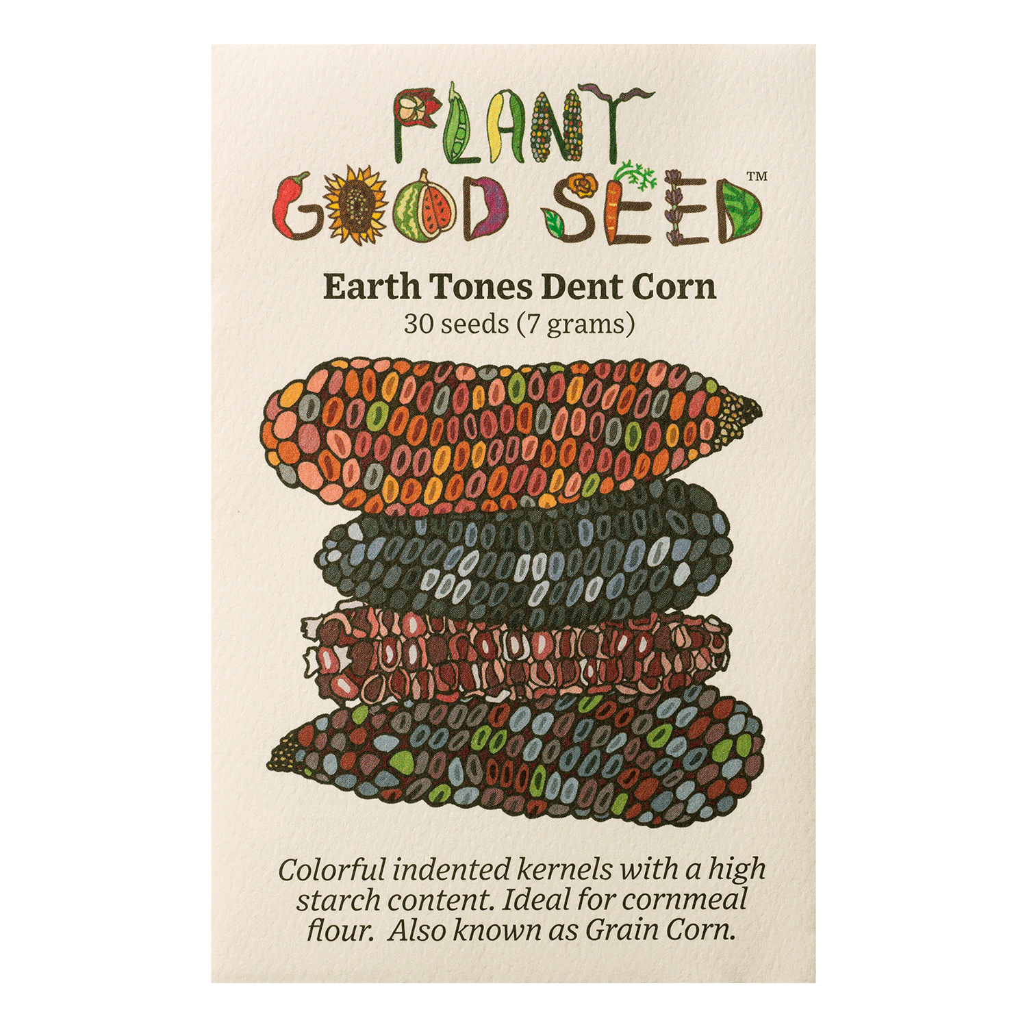 Earth Tones Dent Corn Seeds The Plant Good Seed Company