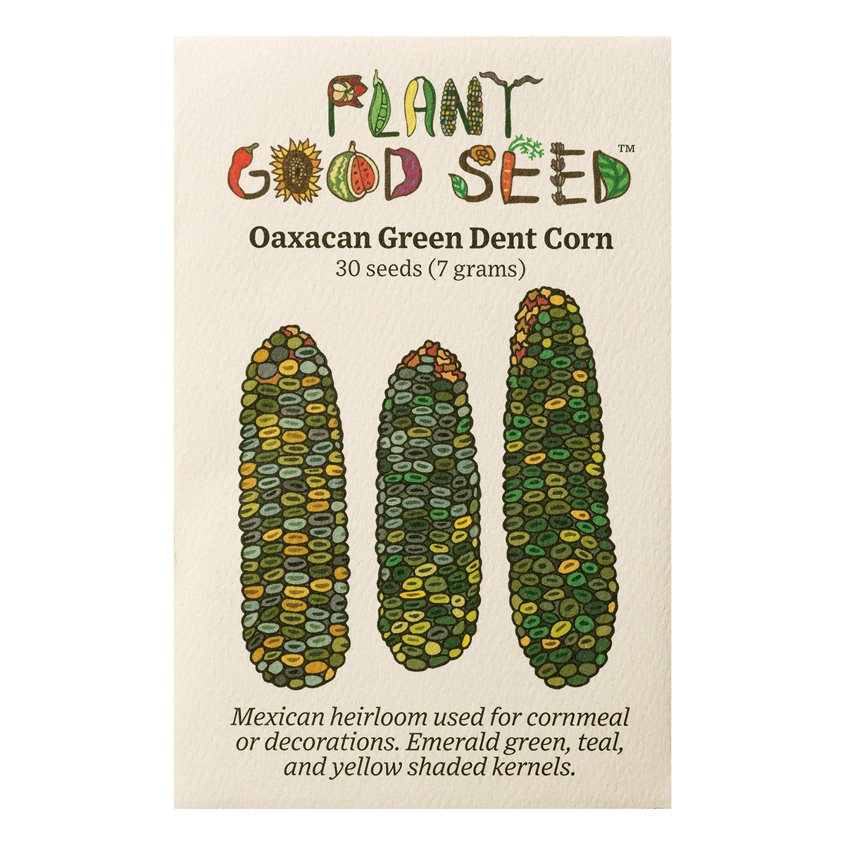 Oaxacan Green Dent Corn seed packet organic