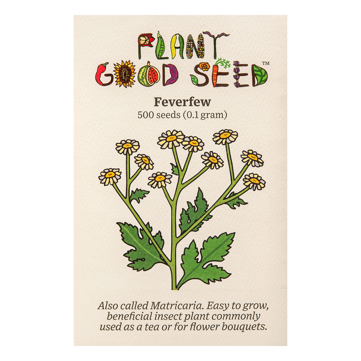 feverfew flower seeds Feverfew