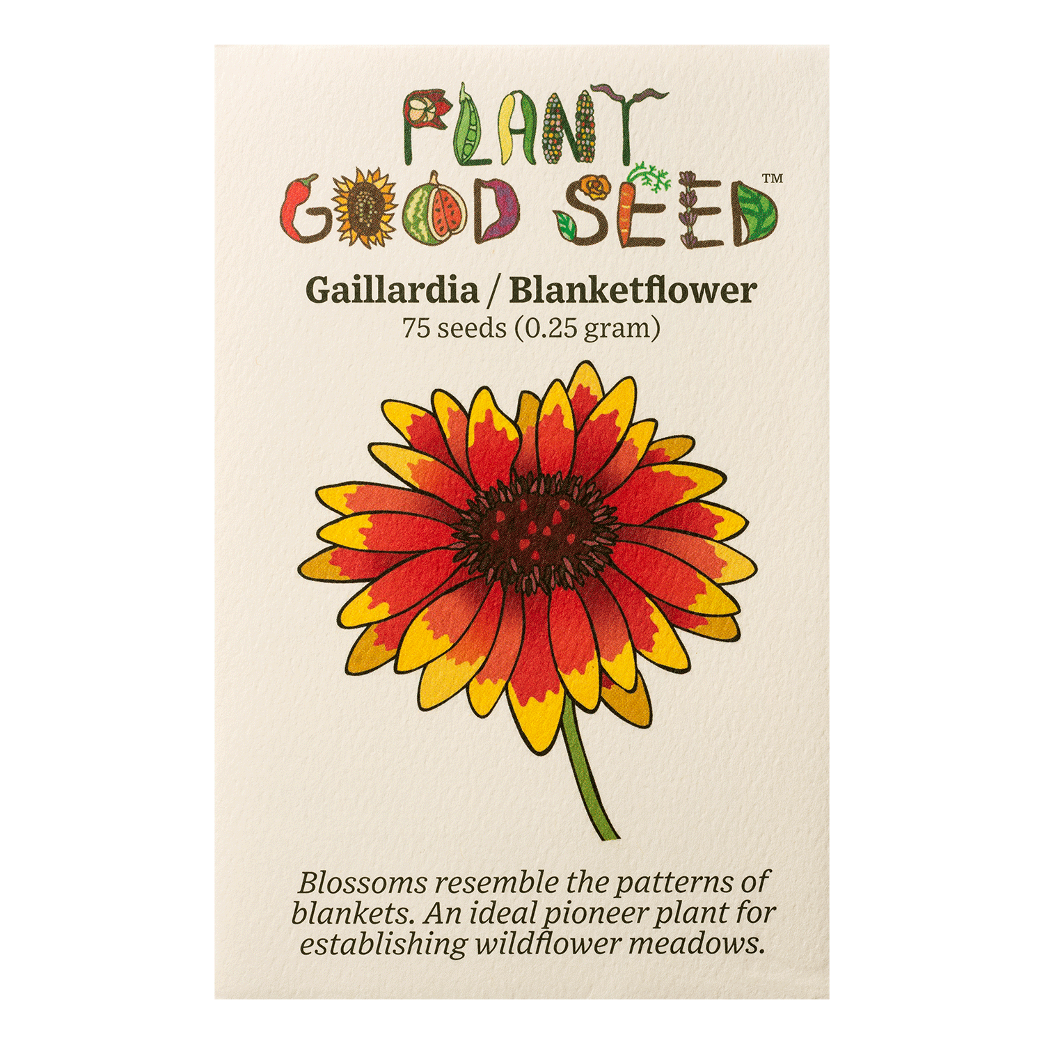 Gaillardia Flower The Plant Good Seed Company