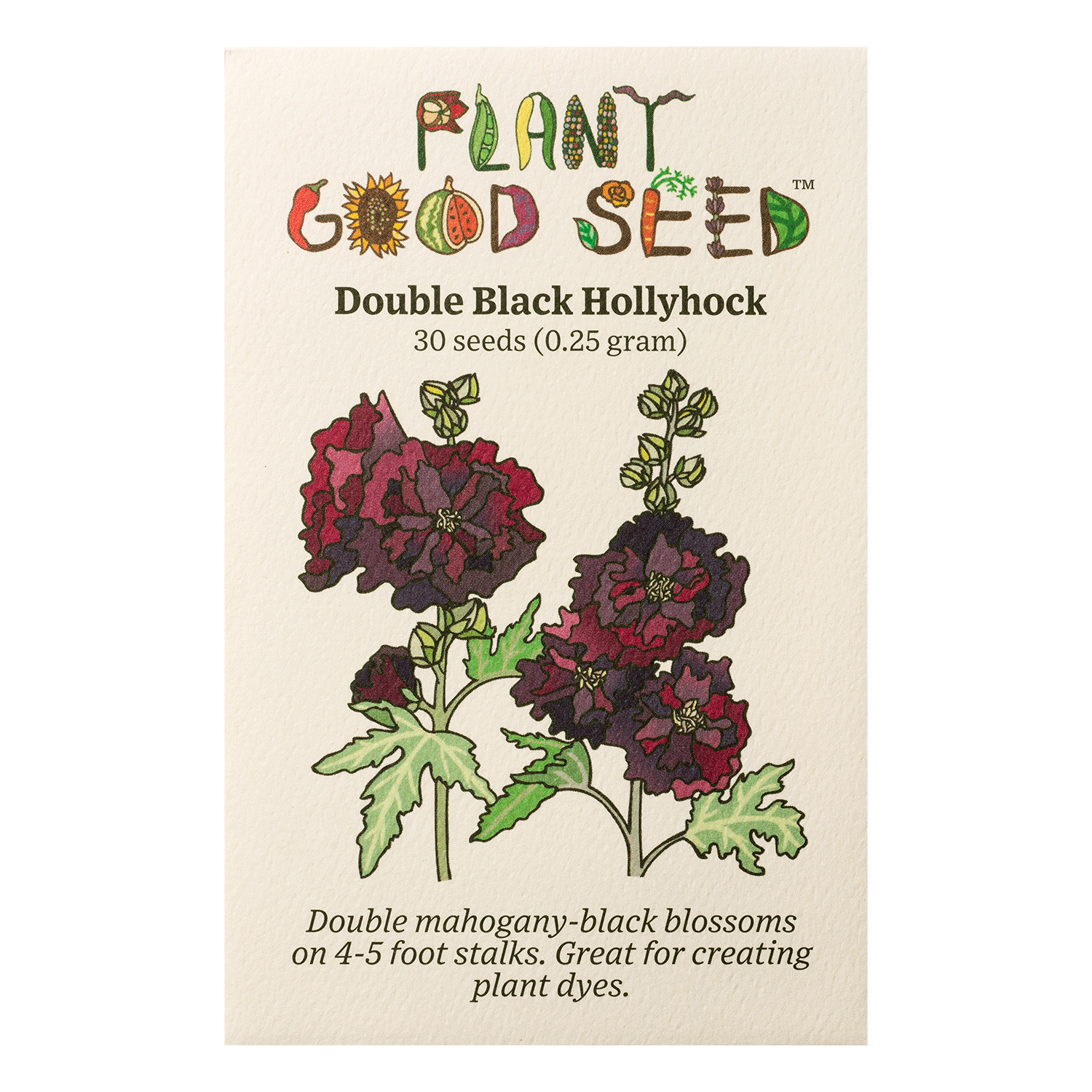 black flower seed Double Black Hollyhock Flower Seeds Packet: 30 Seeds (0.25 gram), OG