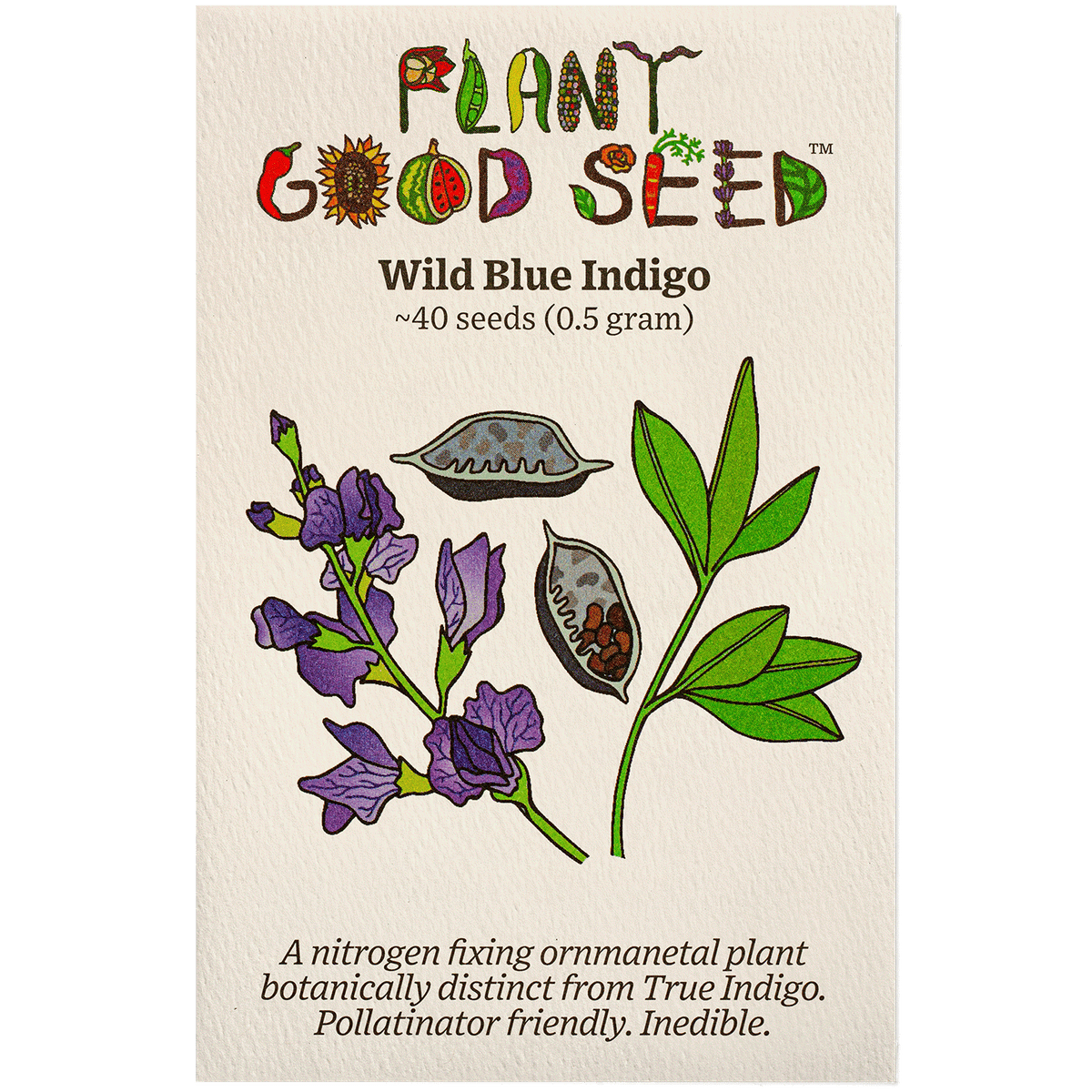 Wild Blue Indigo