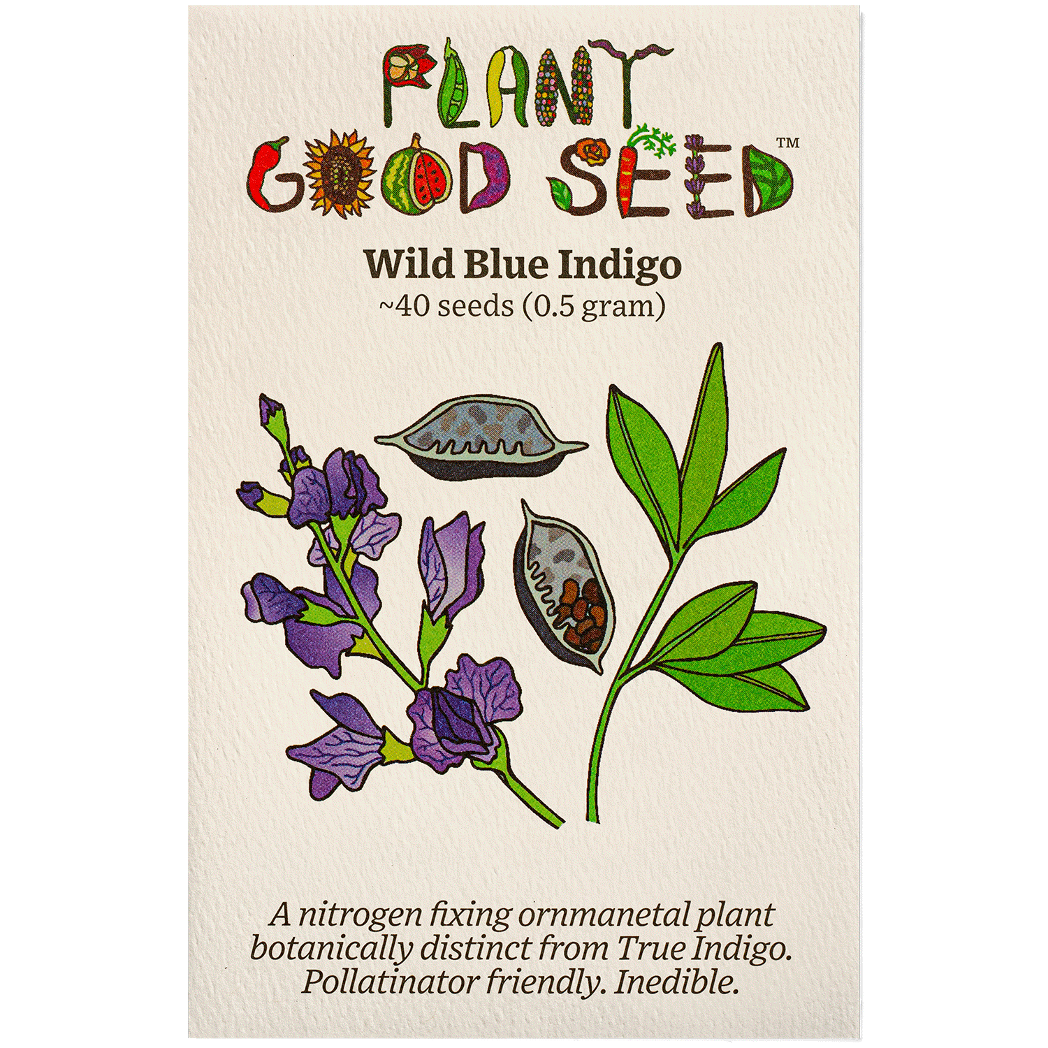 planting indigo seeds Plant Good Seed Wild Blue Indigo Seeds for Planting: 50 Seed Packet Perennial Blue Flowers Full Sun