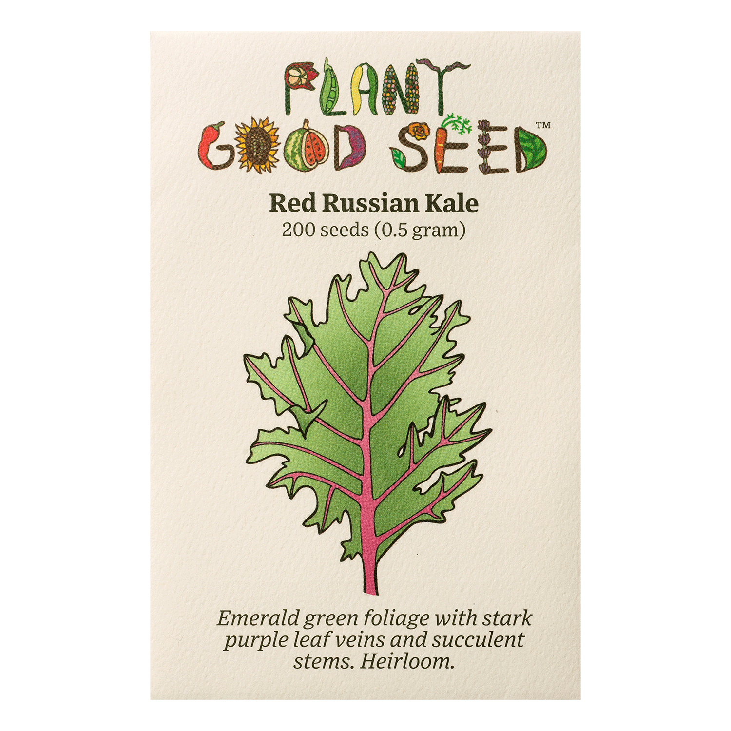 succulent in russian Red Russian Kale Seeds