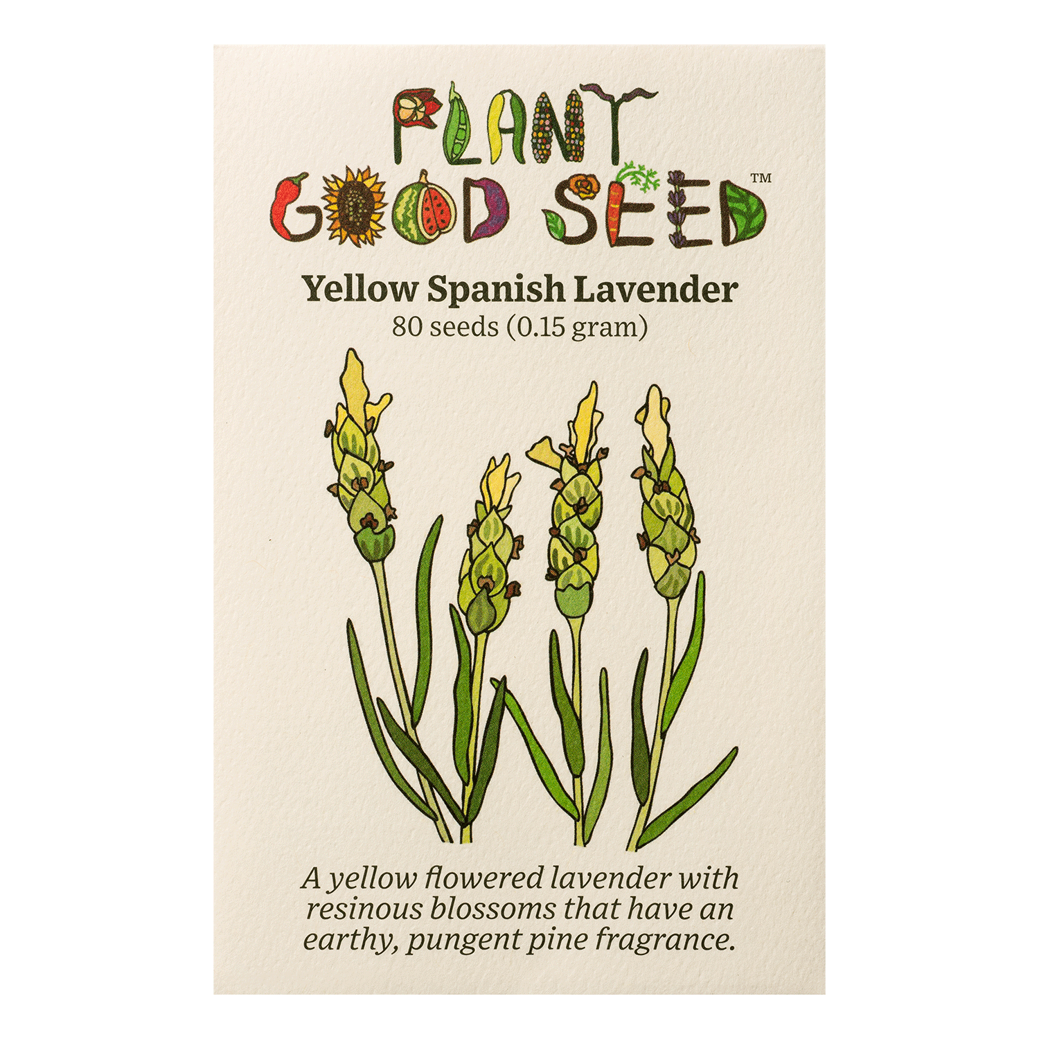 spanish lavender seeds for sale Yellow Spanish Lavender Seeds