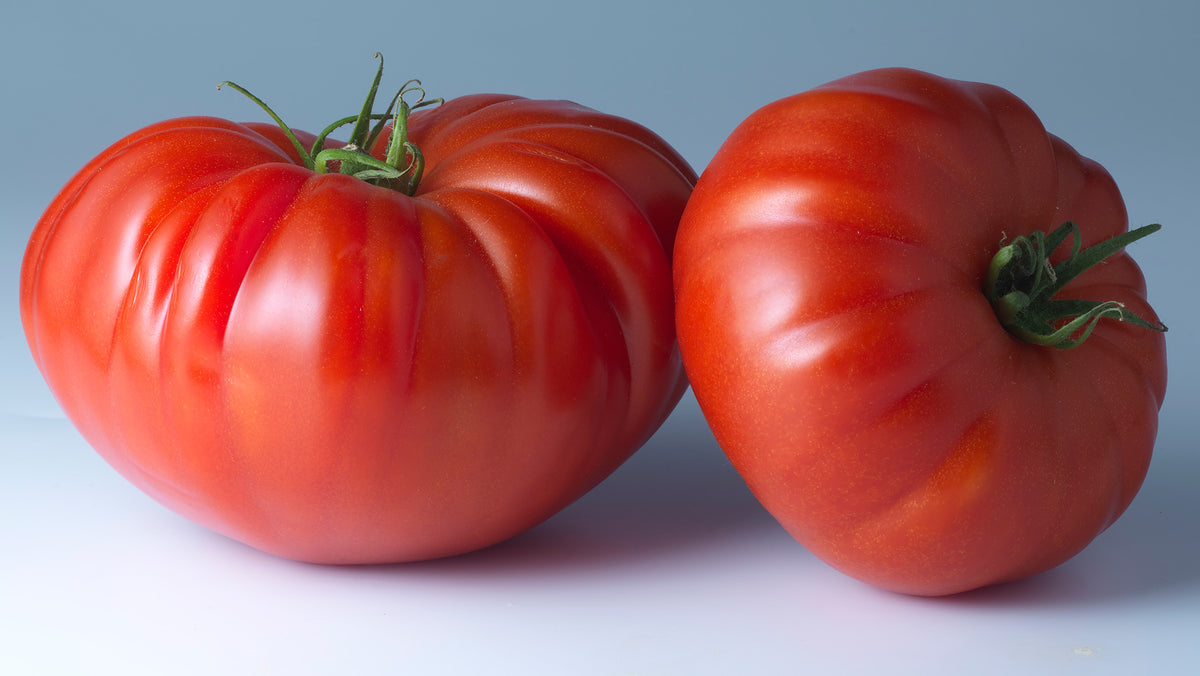 Marmande Tomato