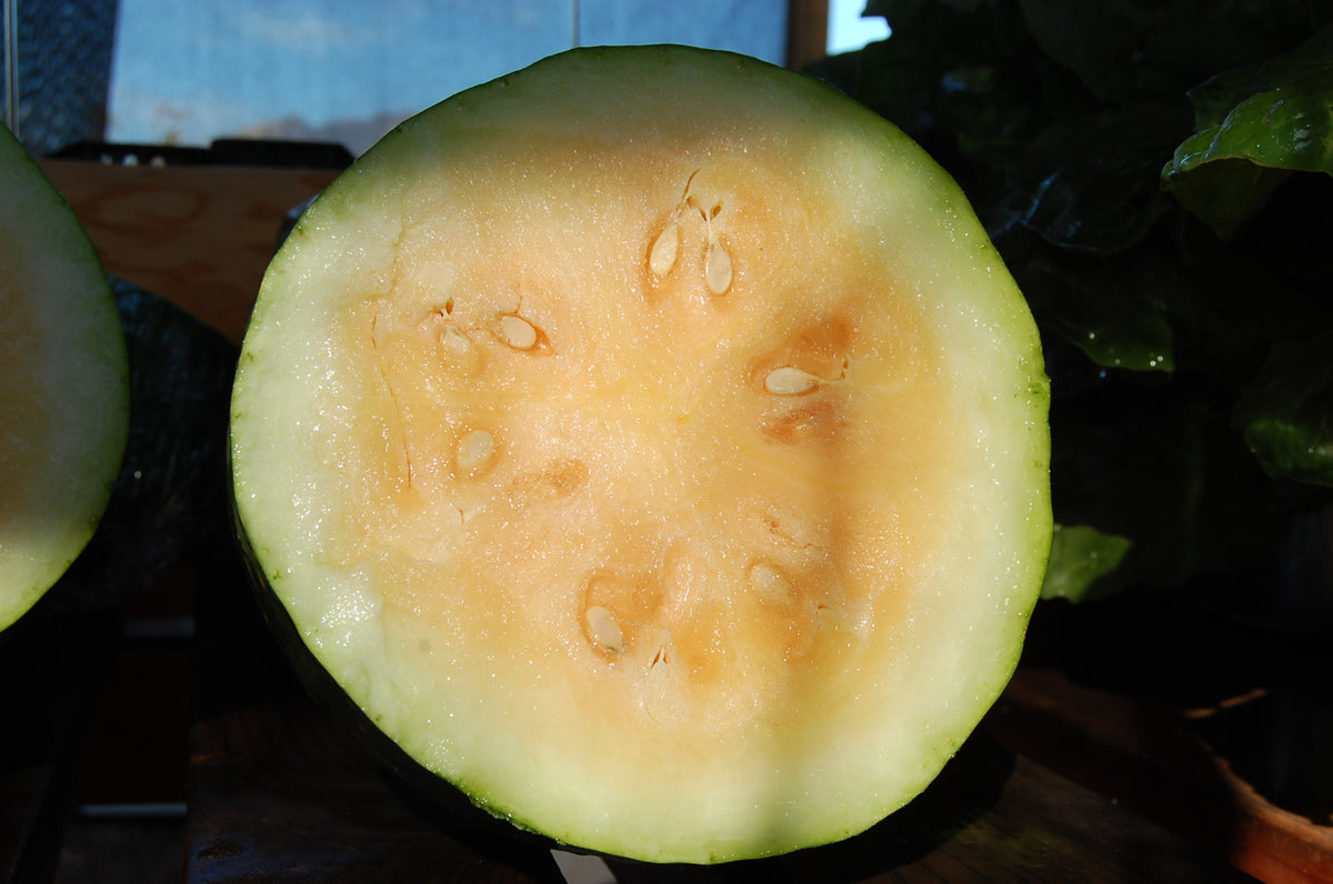 Moon and Stars Yellow Watermelon