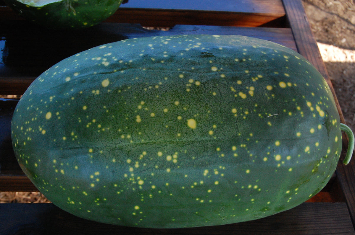 Moon and Stars Yellow Watermelon