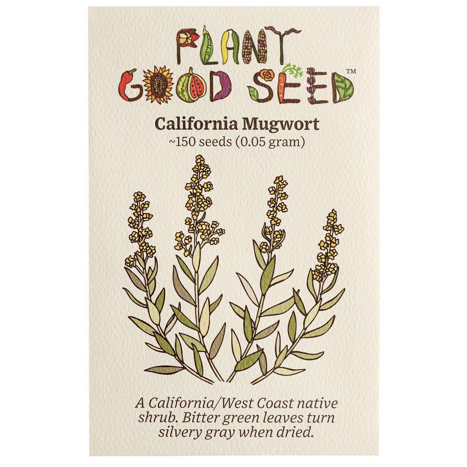 mugwort plant seeds California Mugwort Seeds