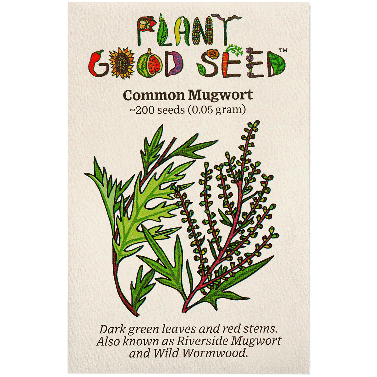 Common Mugwort