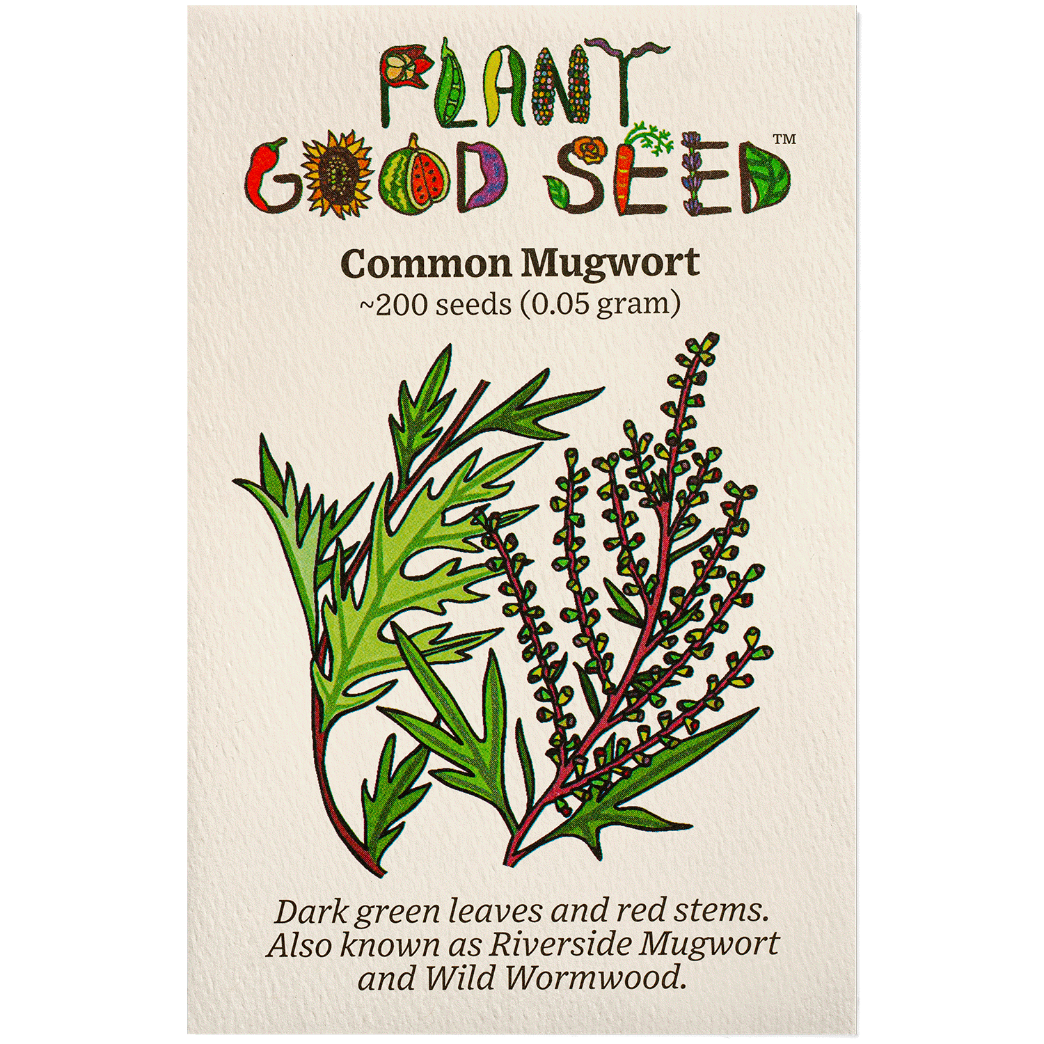 wormwood plant seeds Common Mugwort Seeds BULK: 4,000 Seeds (1 gram), OG