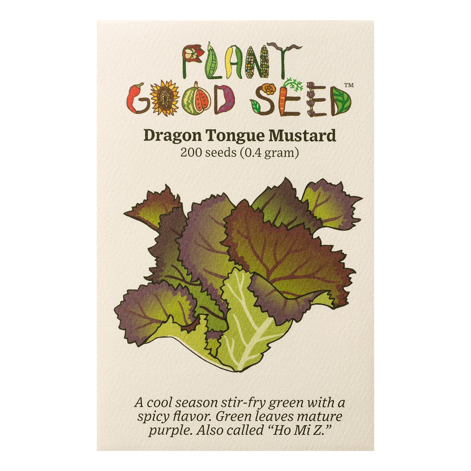dragon seed plant Plant Good Seed Organic Dragon's Tongue Mustard Greens for Planting: Spicy Large Leaves, 200 Seed Packet