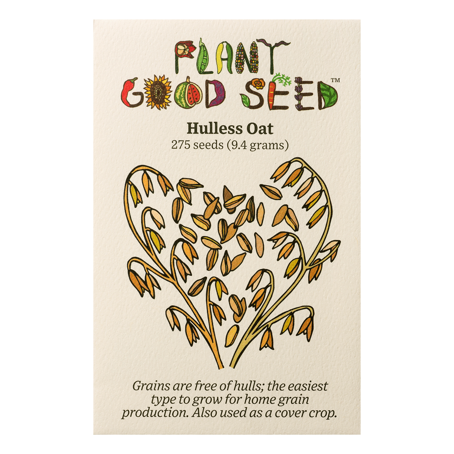 where to buy oat seeds for planting Plant Good Seed Hulless Oat Seeds for Planting: Organic Grain, 275 Seed Packet