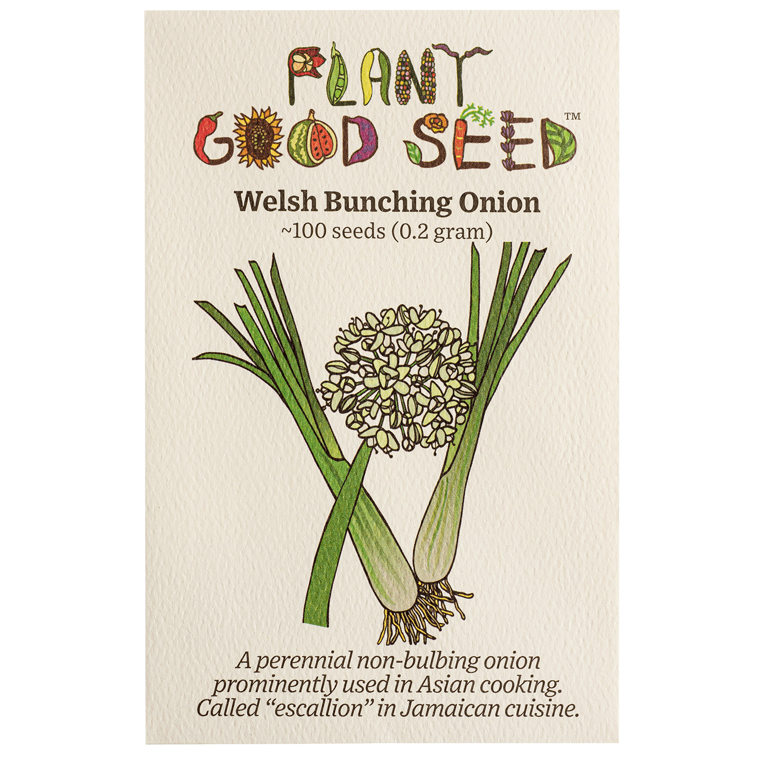 onion flower seeds Plant Good Seed Welsh Bunching Onion Seeds for Planting, 100 Seeds