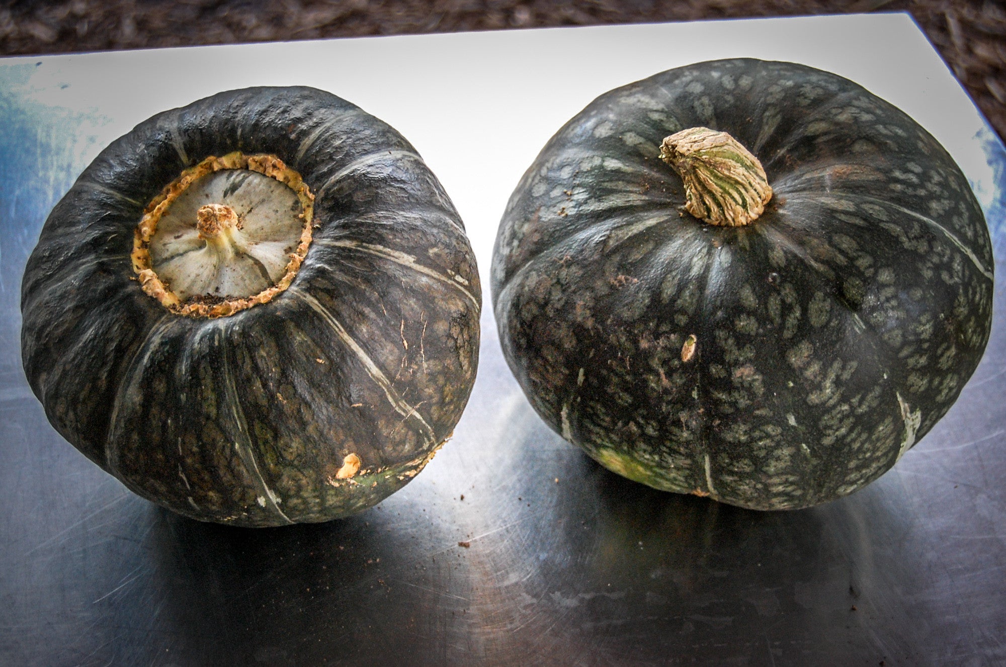 burgess seed and plant co zones Burgess Buttercup Winter Squash Seeds