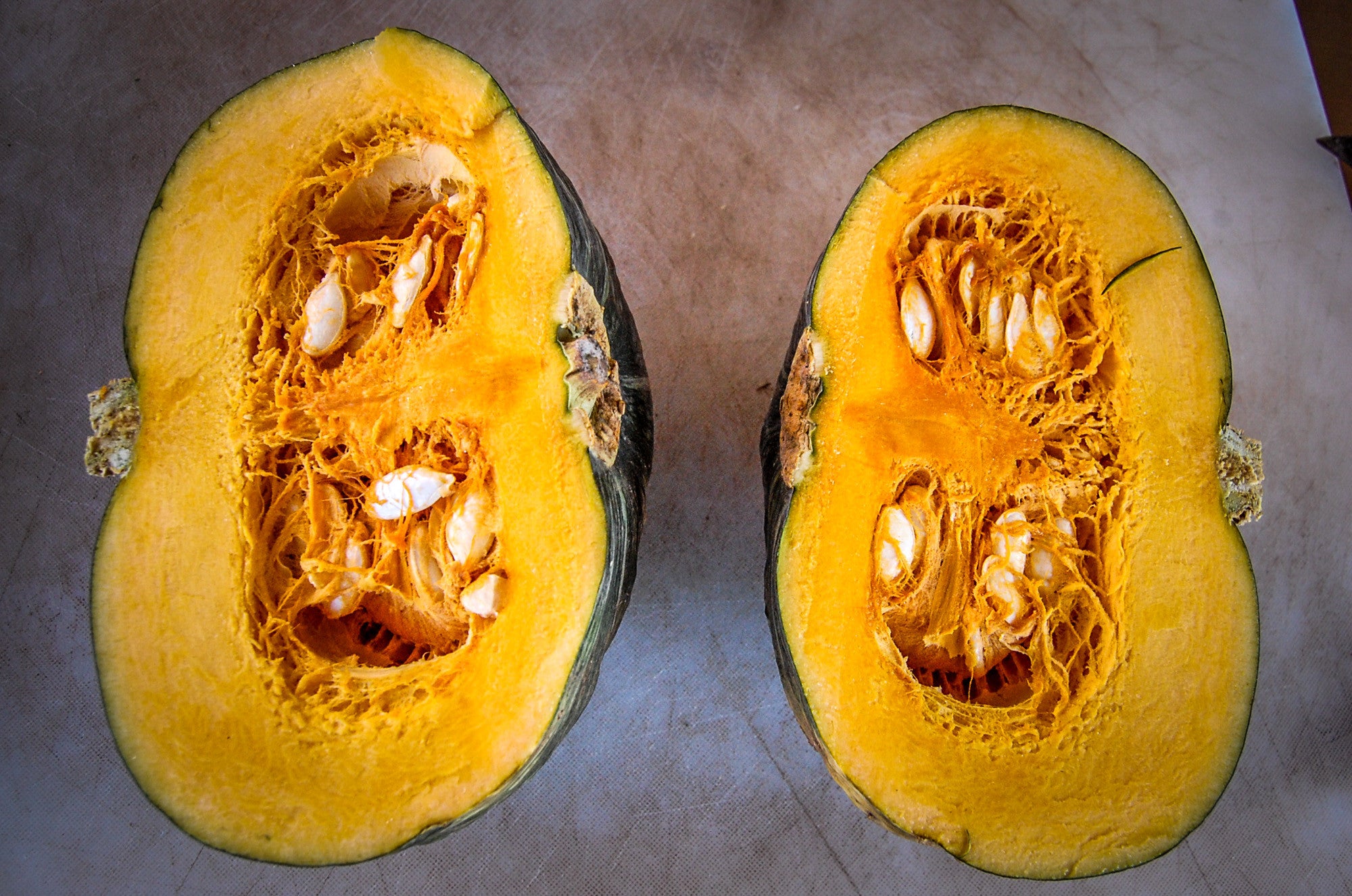 burgess seed and plants Burgess Buttercup Winter Squash Seeds
