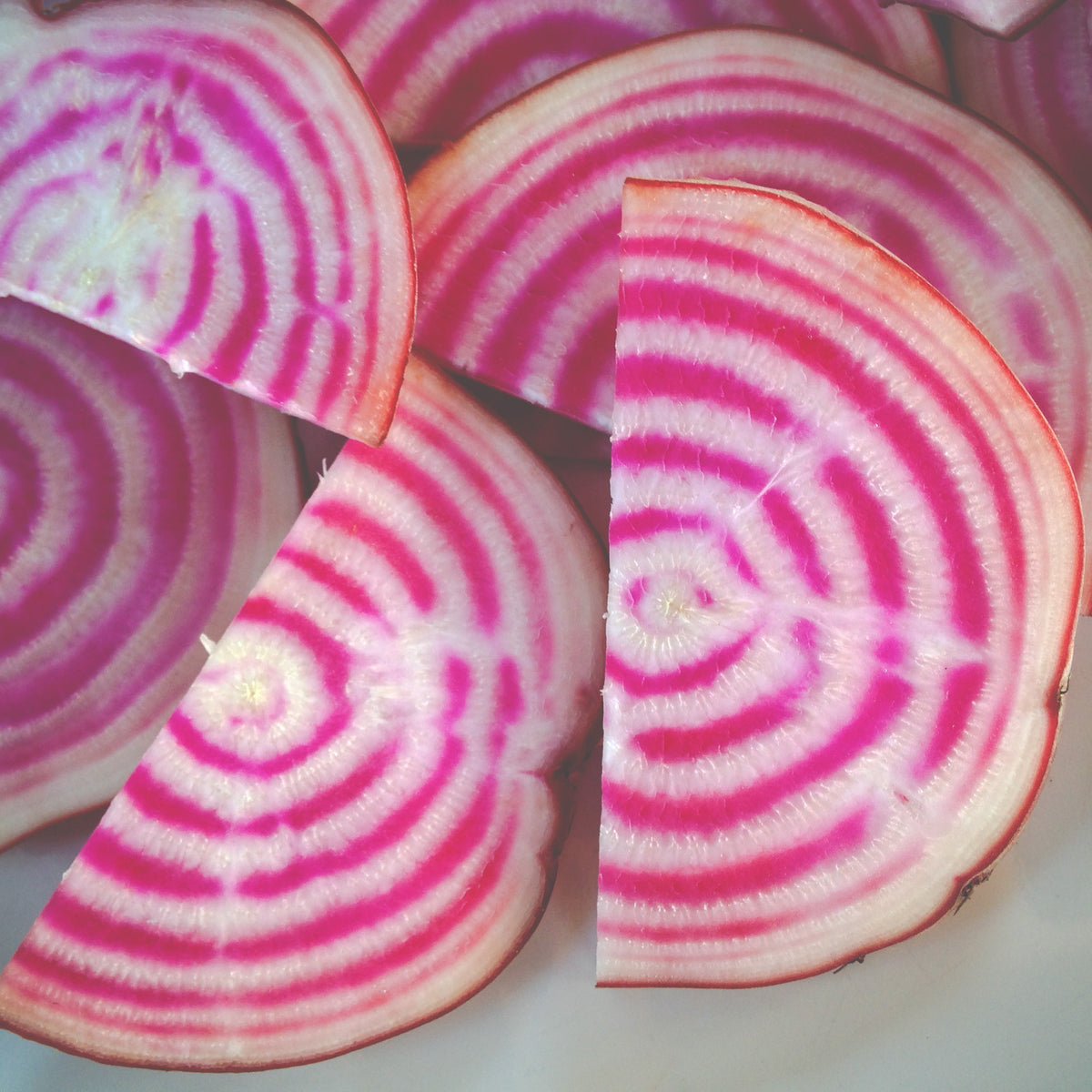 Chioggia Guardsmark Beet