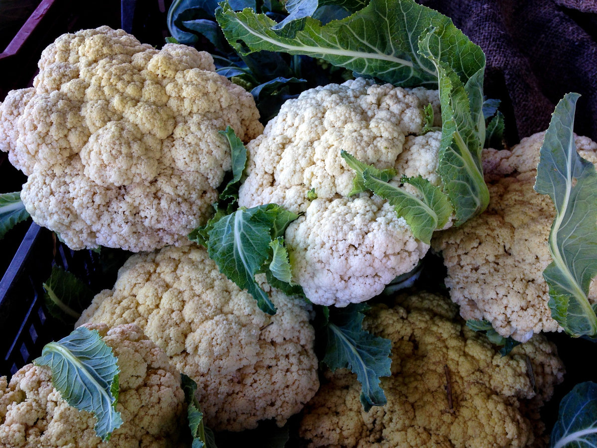 Snowball Cauliflower