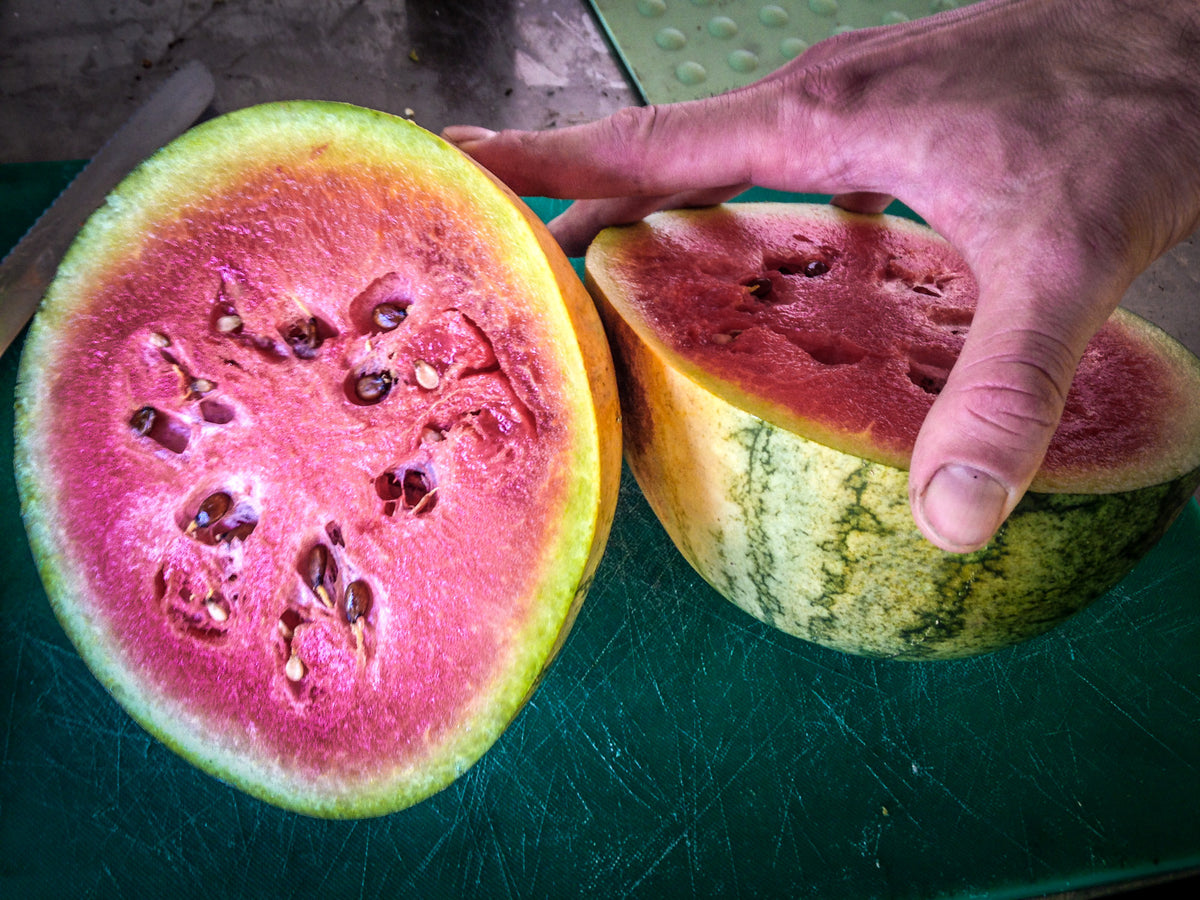 Sugar Baby Watermelon