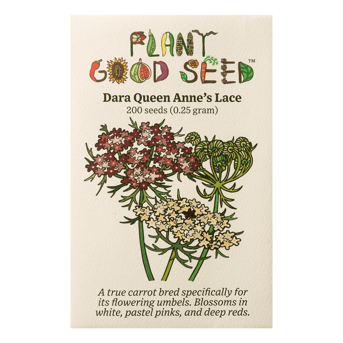 Dara Queen Anne's Lace Flower Seeds - The Plant Good Seed Company