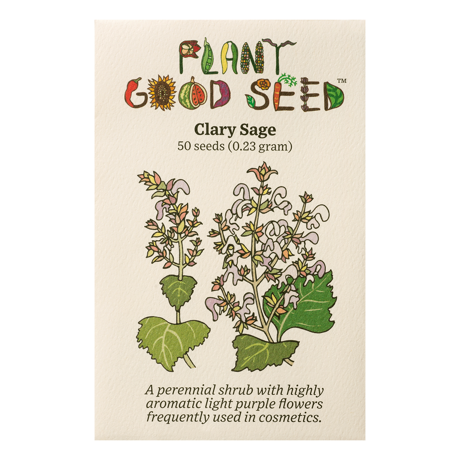 planting clary sage seeds Plant Good Seed Clary Sage Seeds