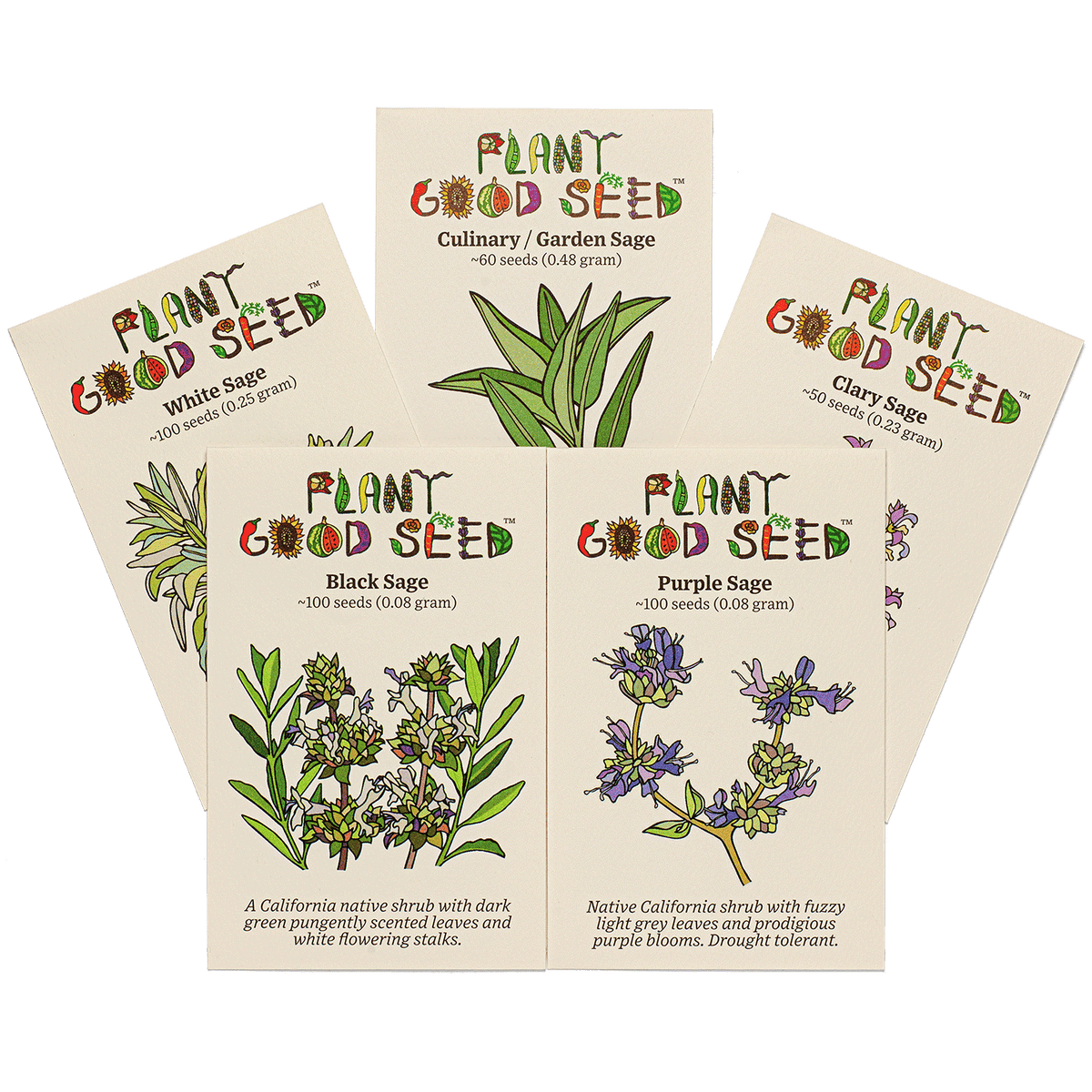 Sage Seed Collection