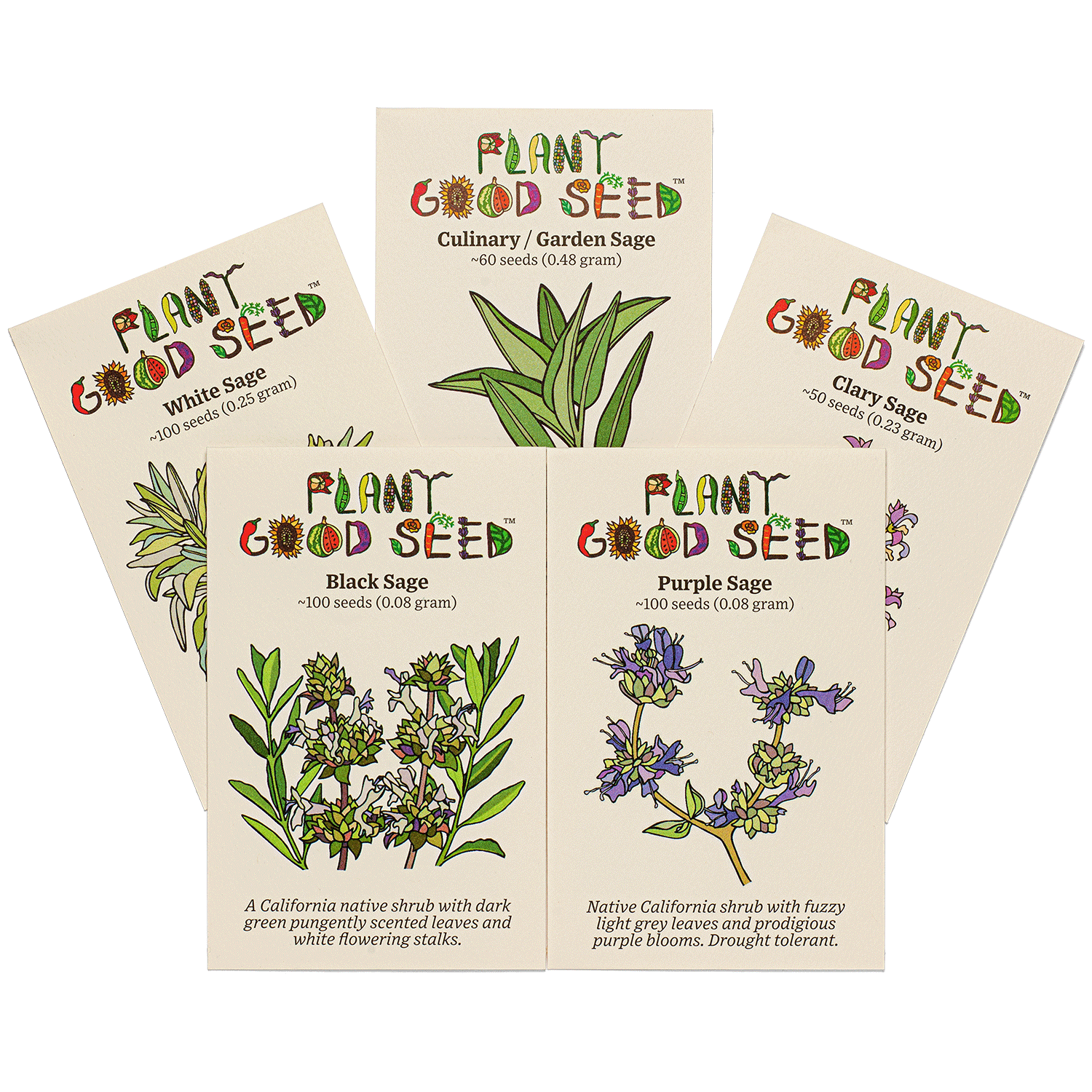 good garden seeds Sage Seed Collection - Five Packets