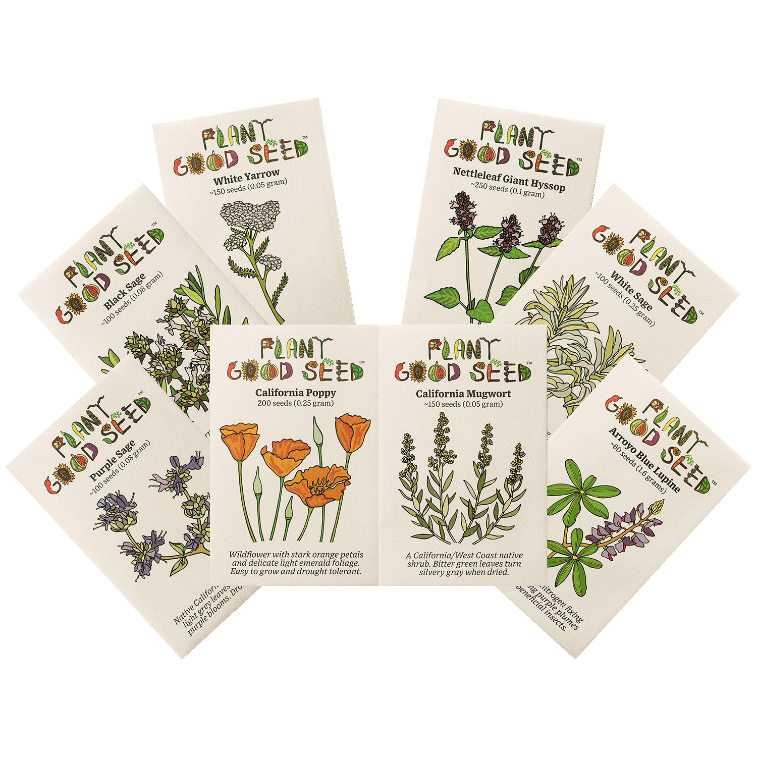 native seed search plant sale California Natives Seed Collection - Eight Packets