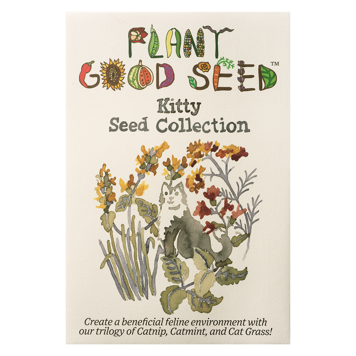 Kitty Seed Collection - Three Packets